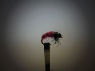 Size 10 Scud Weighted Pink